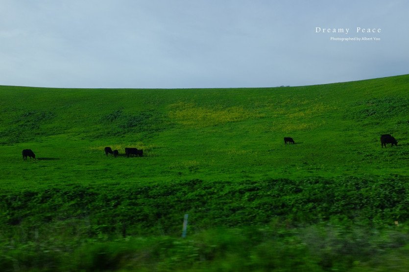 d20b2553394a60517c448b4b13813b4a.jpg