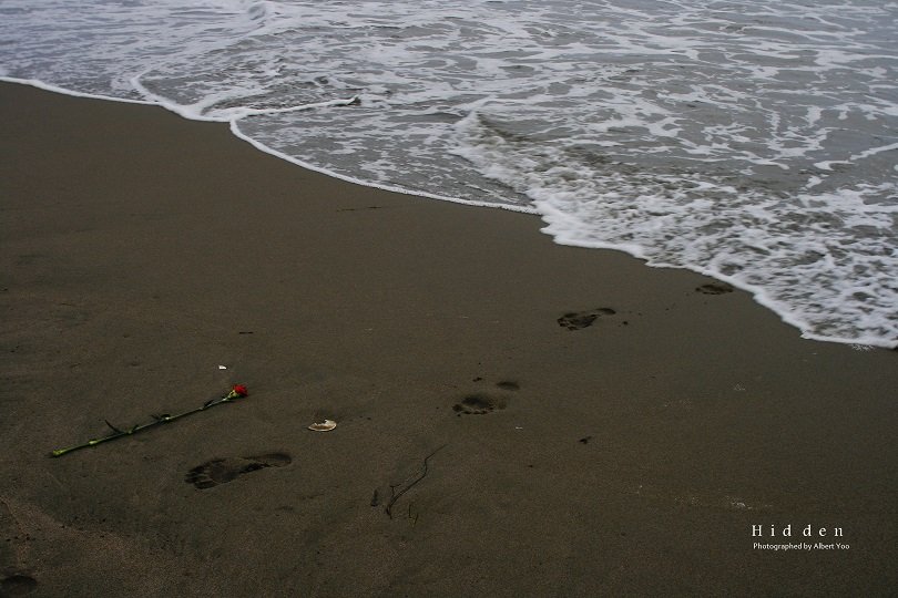 _MG_8483-N-re810.jpg