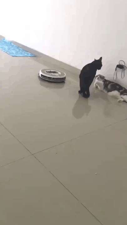 저리로가있어.gif