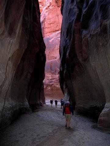 buckskin9.jpg