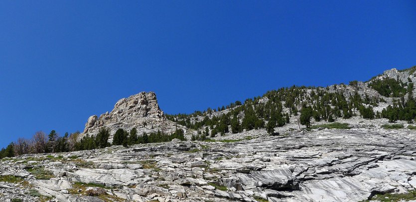 L1020969.JPG