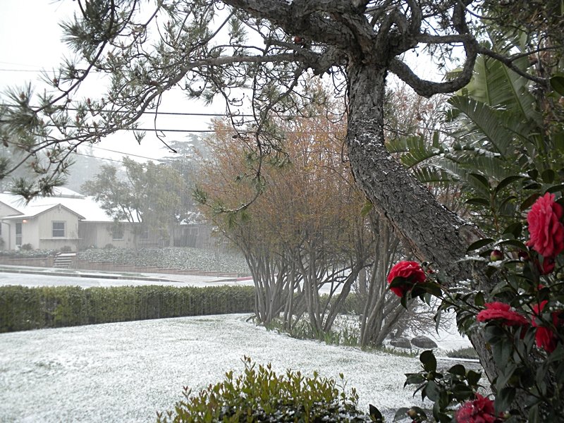 DSCN5421.JPG