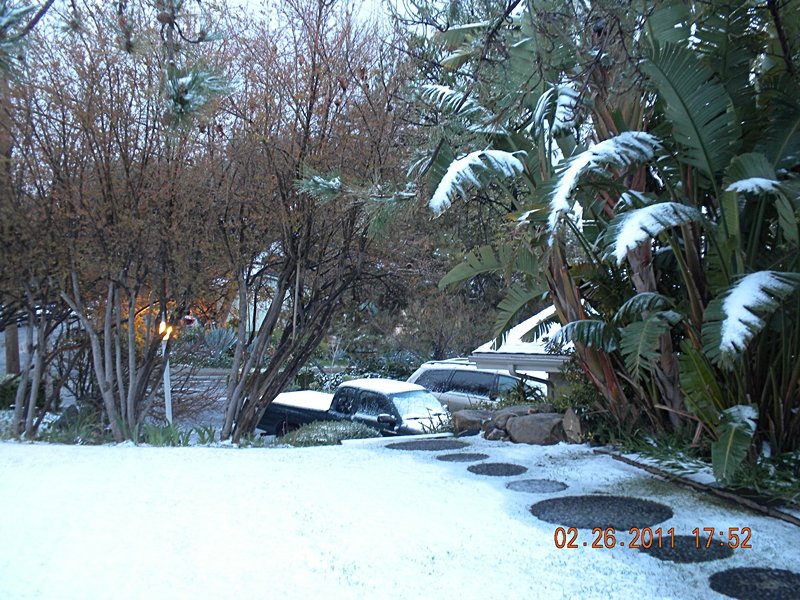 DSCN5461.jpg