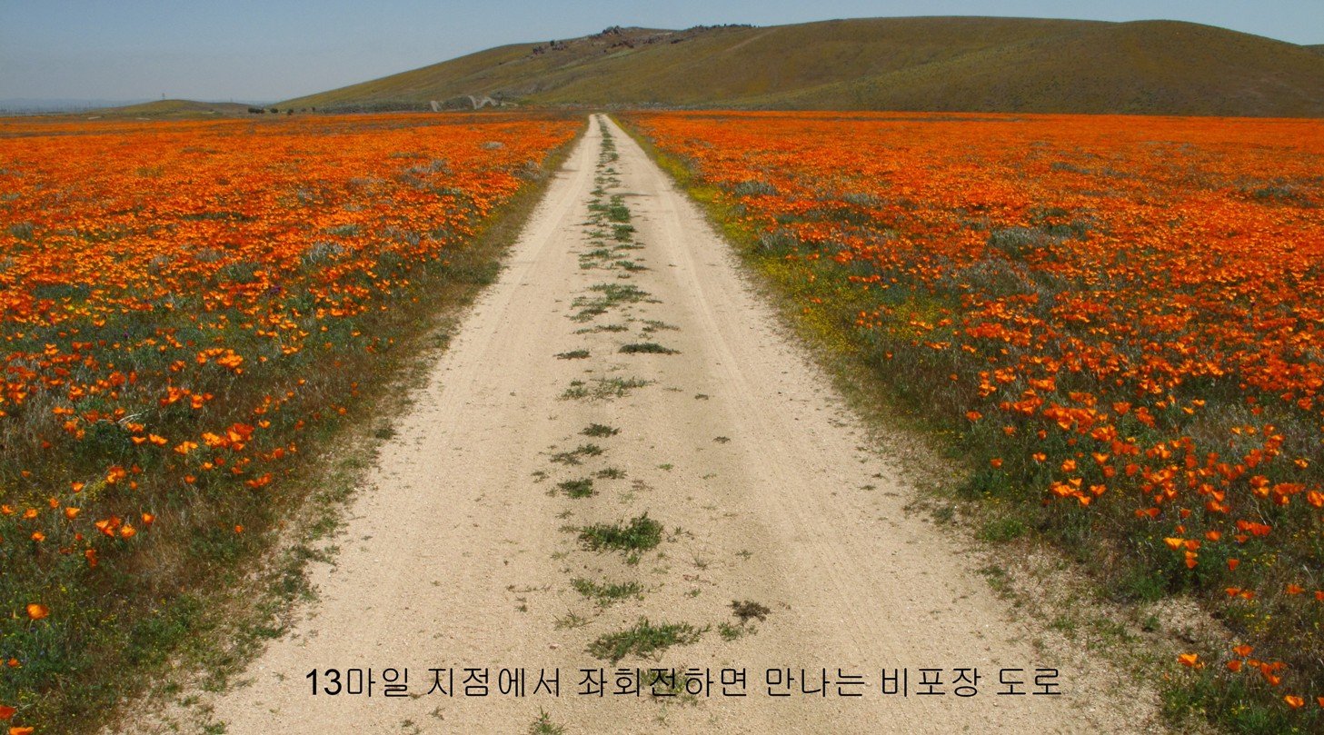 poppy reserve.jpg