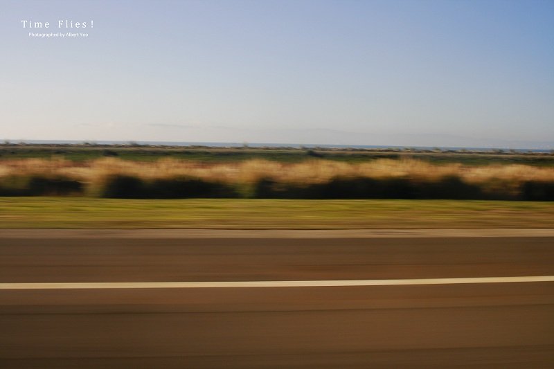 _MG_7446-N-re800.jpg