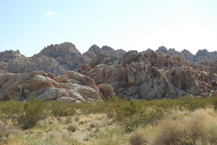 DSC_0798.JPG