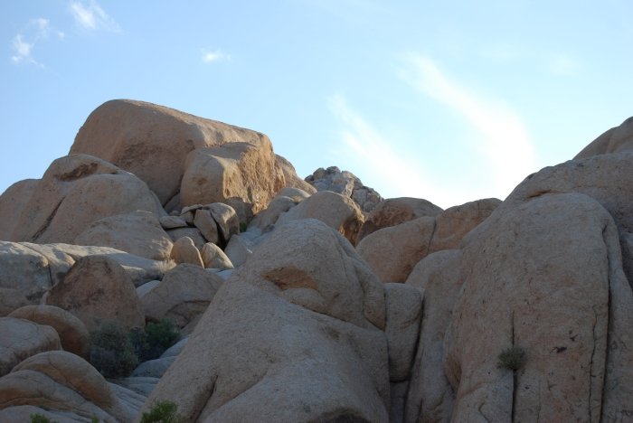 DSC_0829.JPG