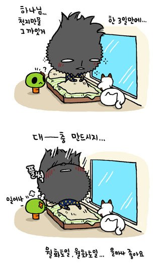 주4일.jpg