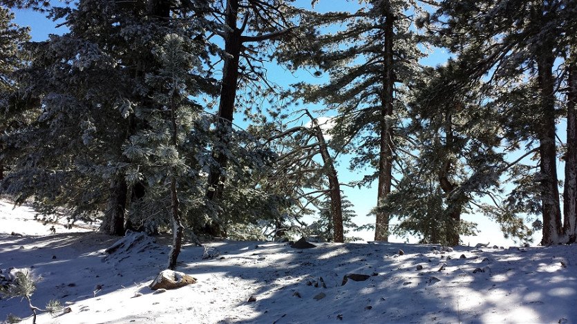 20131124_094904.jpg