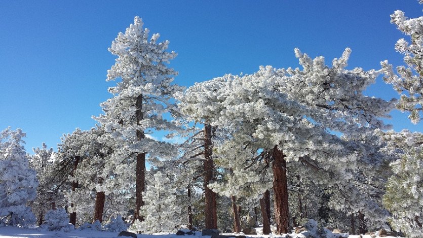 20131124_105306.jpg