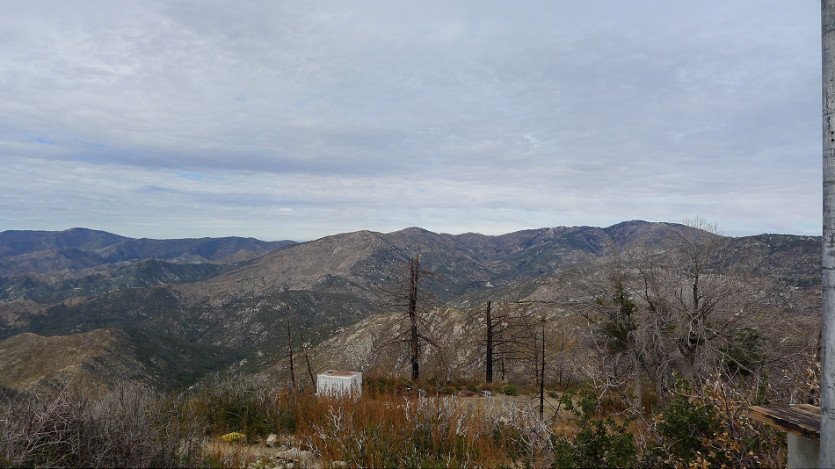 L1030802.JPG