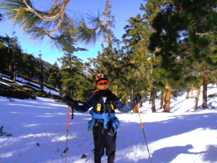 1-13 timber 045.jpg
