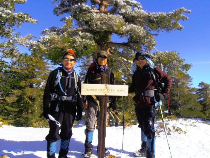 1-13 timber 050.jpg