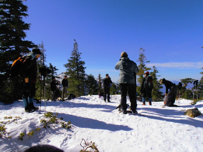 1-13 timber 053.jpg