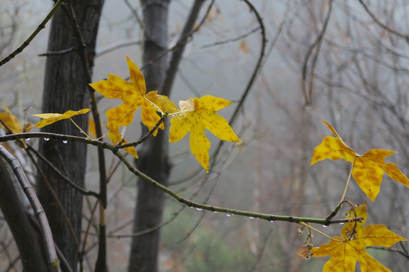 BHIMG_0098.jpg