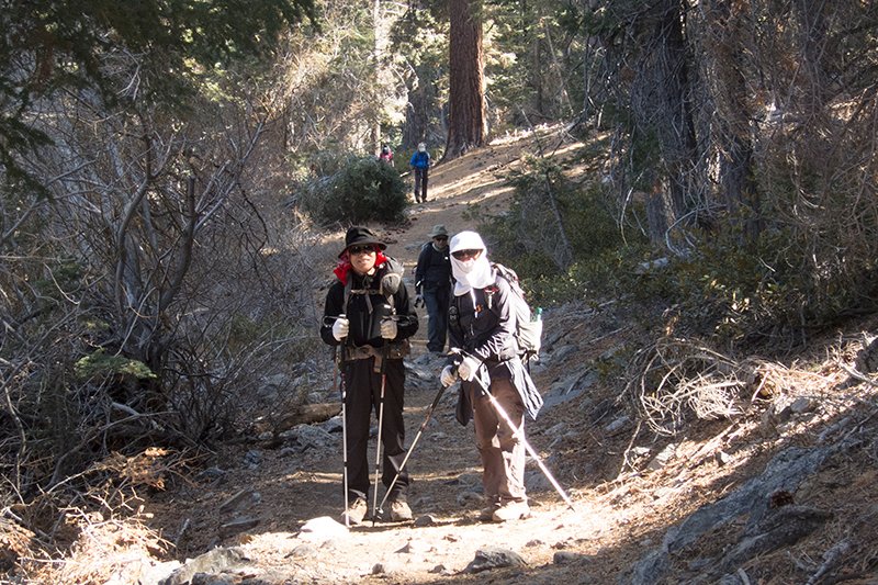 Dryc201402-1-11.jpg