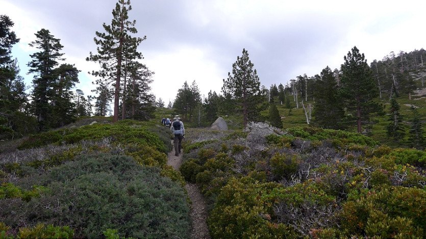 L1060490.JPG