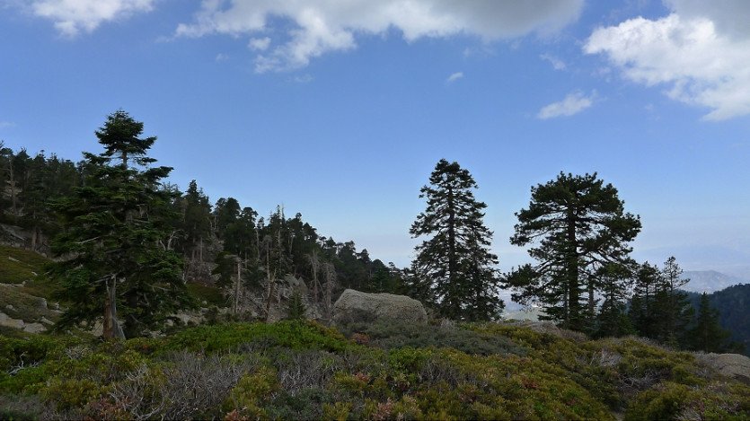 L1060493.JPG
