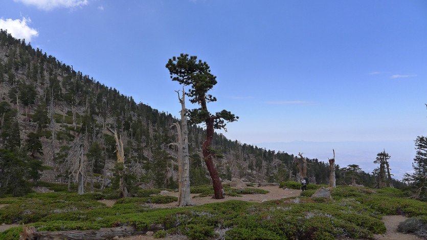 L1060500.JPG