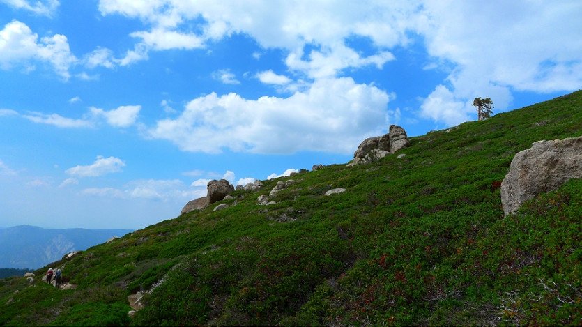 L1060524.JPG