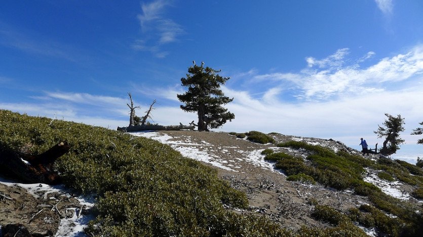 L1040388.JPG