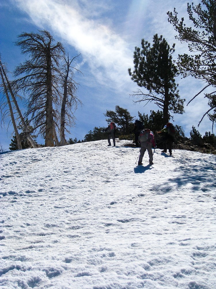 120408-13.jpg