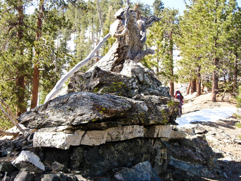 120408-05.jpg