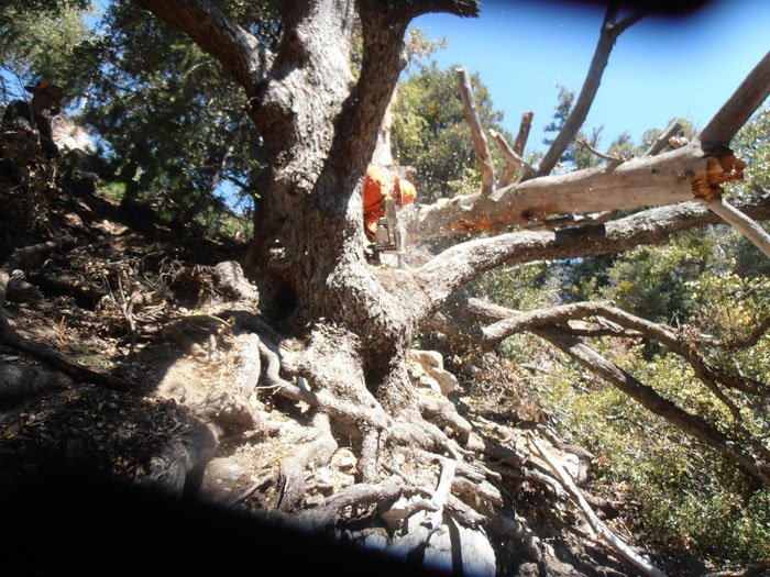 baldy9.16 006.jpg