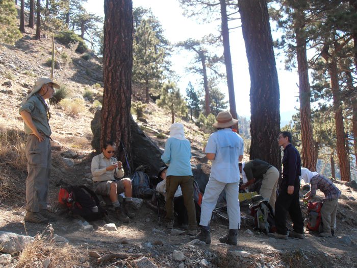 baldy9.16 023.jpg