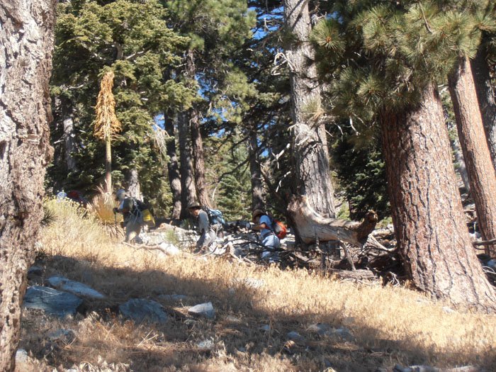 baldy9.16 027.jpg