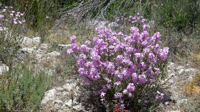 L1100692.JPG