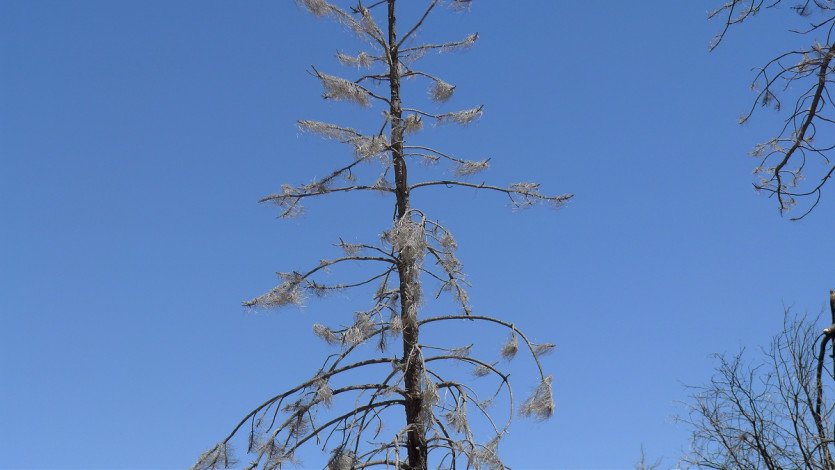 L1100656.JPG