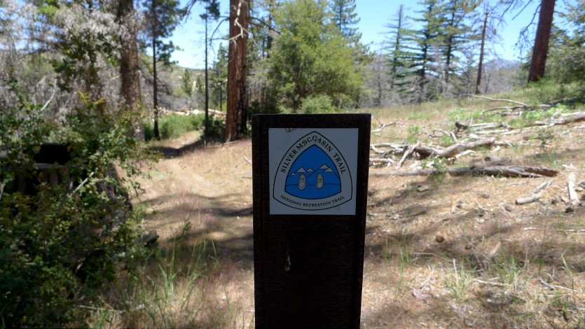 L1100671.JPG