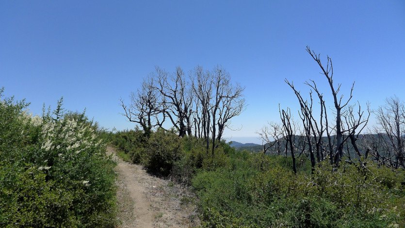 L1100677.JPG