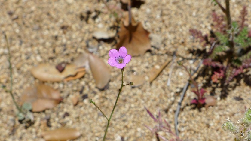 L1100688.JPG