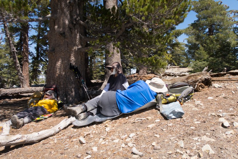 Timber20150419-1-6.jpg