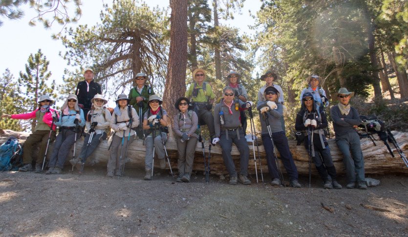 Timber20150419-1-2.jpg