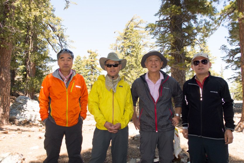 Timber20150419-1-5.jpg