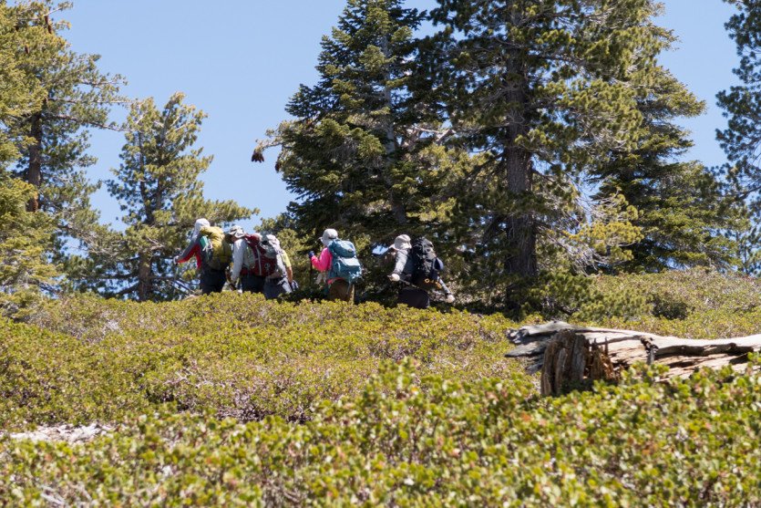 Timber20150419-1-3.jpg