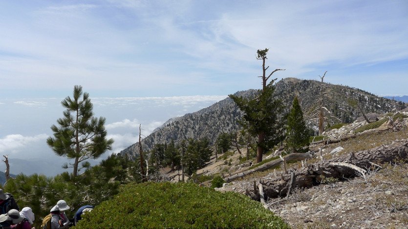 L1100221.JPG