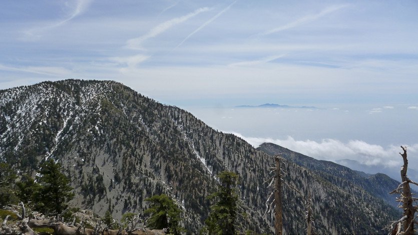 L1100215.JPG
