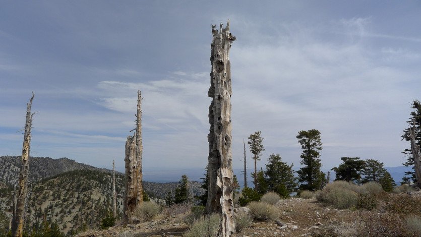 L1100203.JPG
