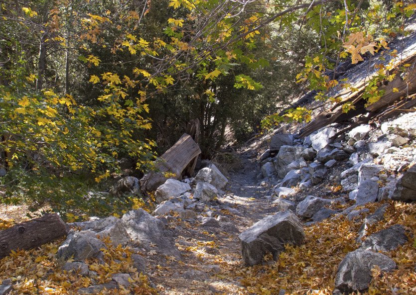 TimberC201410-1-4.jpg