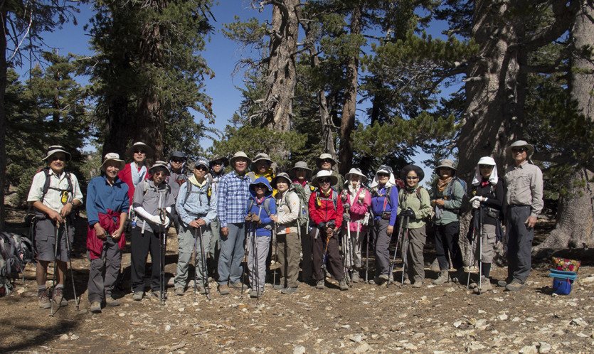 TimberC201410-1-2.jpg