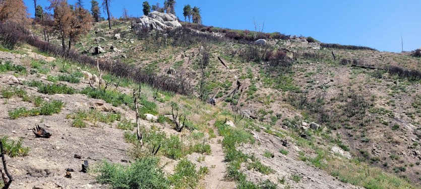 20210815_102943.jpg