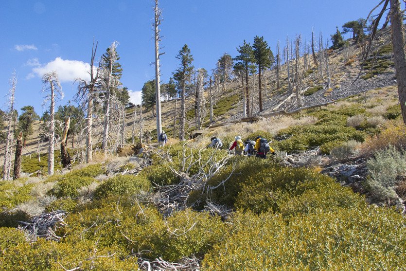 ThroopPkC201410-1-16.jpg