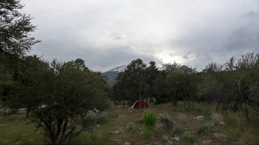 L1080219.JPG