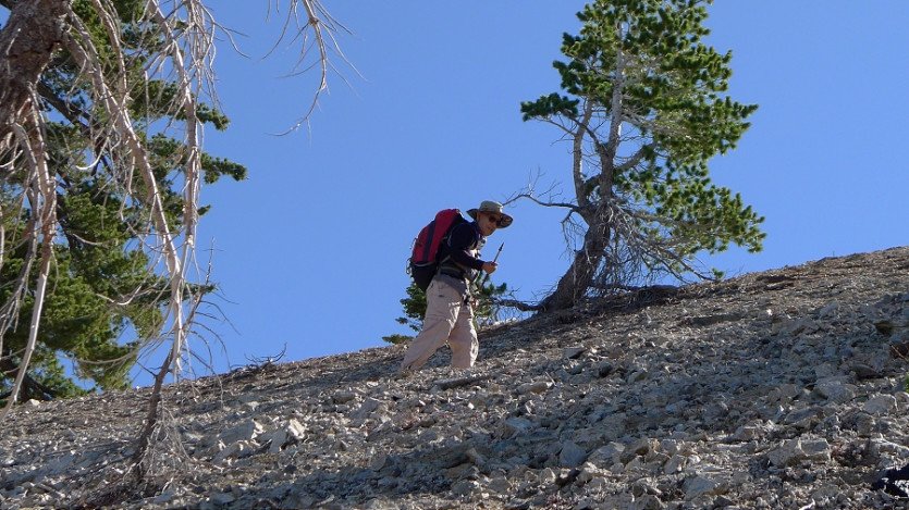 L1030622.JPG