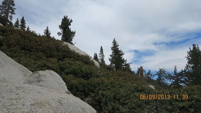 IMG_3226.JPG