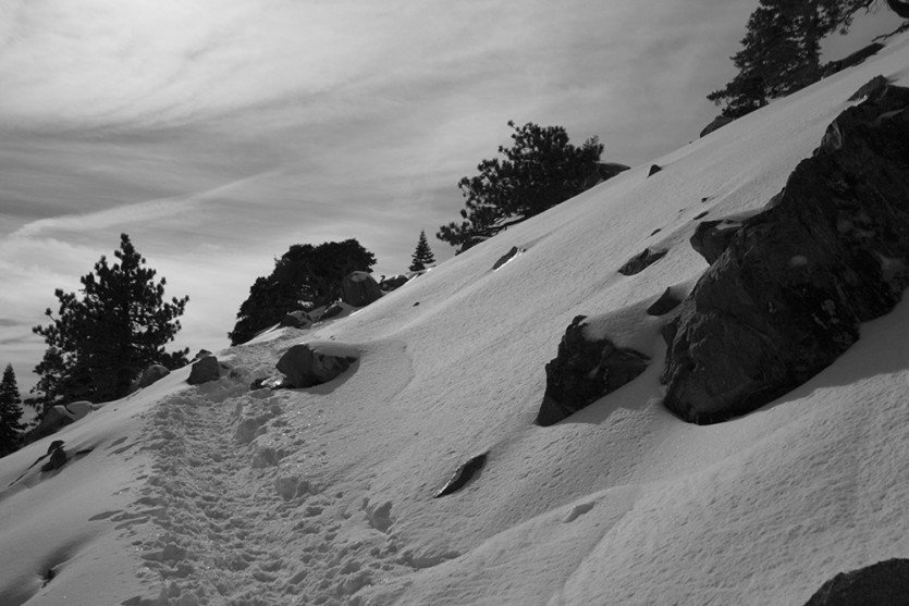 BaldyCB201412-1-6.jpg